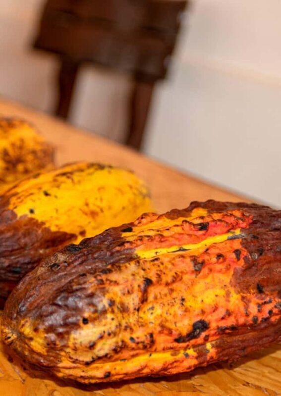 Oxapampa Highlights: Rainforest & Coffee Adventure - Exploring Oxapampa Highlights: Rainforest & Coffee Adventure