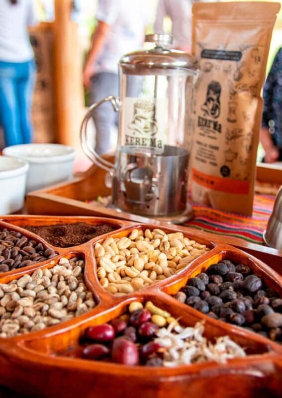 Oxapampa Highlights: Rainforest & Coffee Adventure - FAQ