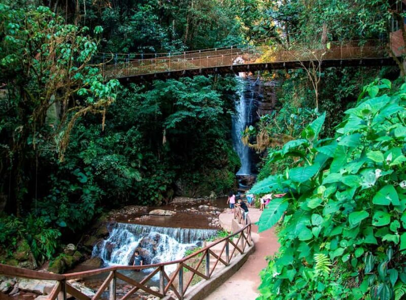 Oxapampa : Tigre River Waterfall and Jungle Secret - Key Points