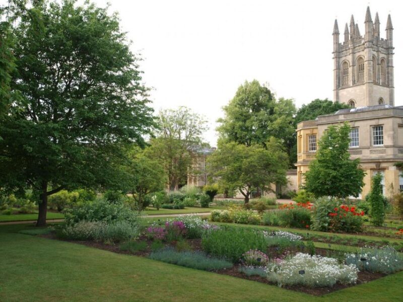 Oxford 3-Hour Private Walking Tour - Oxford 3-Hour Private Walking Tour: An Authentic Look at England’s Classic University City