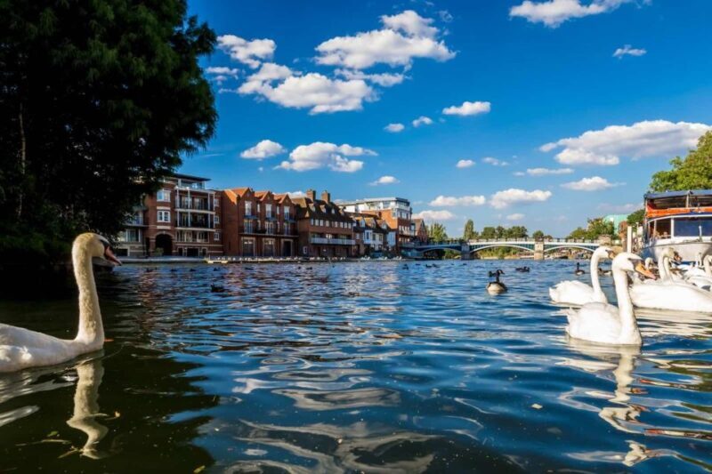 Oxford & Blenheim Palace: Exclusive Private Tour - Practical Considerations and Tips