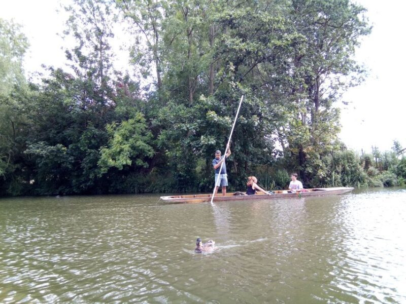 Oxford: Chauffeured Punting River with Optional Walking Tour - Why This Tour Is Worth Considering