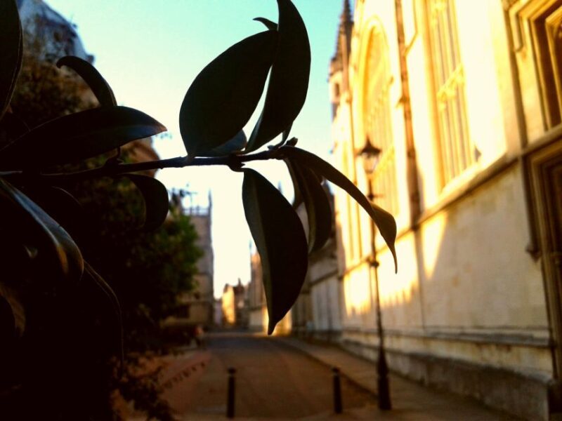Oxford: Pre-Raphaelite Walking Tour with Exeter College - Who Would Enjoy This Tour Most?