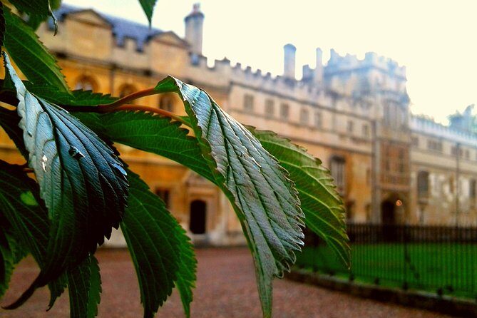 Oxford PRIVATE Pub and City Evening Walking Tour - Summary: Who Should Consider This Tour?