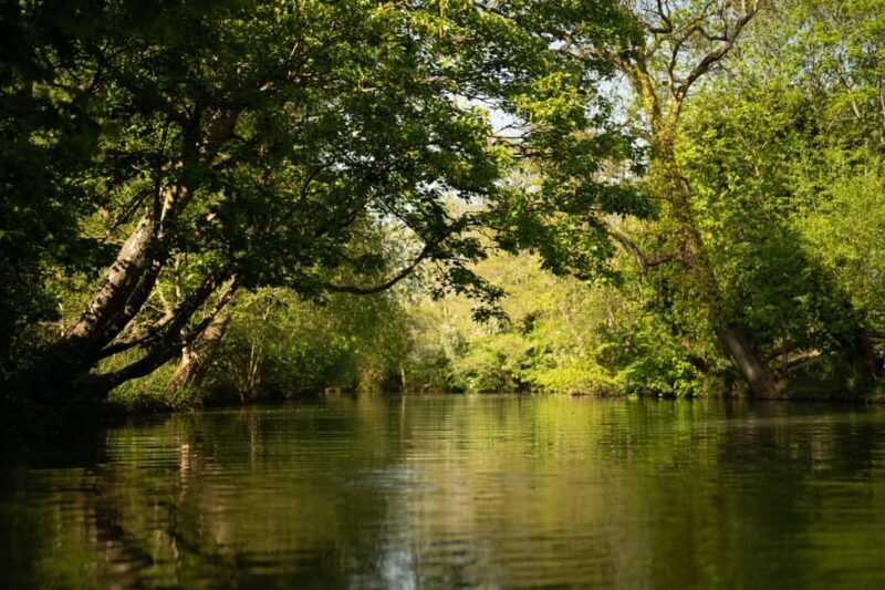 Oxford: Private Punting Tour on the River Cherwell - Authentic Experiences from Recent Reviewers