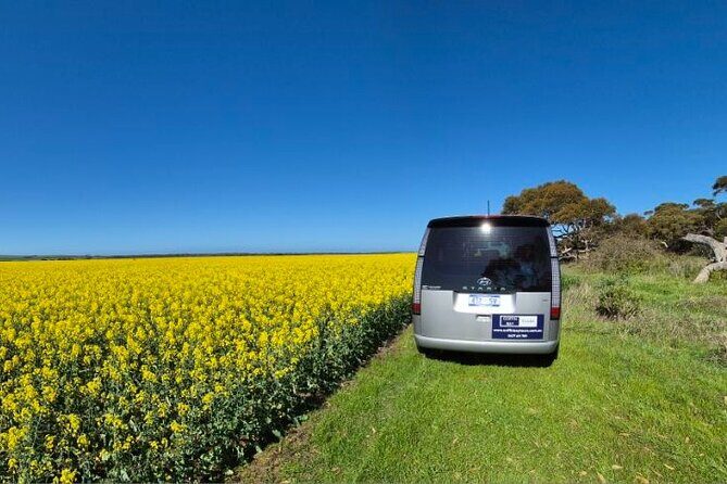 Oyster Adventure in Coffin Bay (Coffin Bay Pick Up) - Exploring the Coffin Bay Oyster Tour in Detail