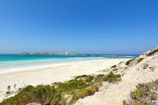 Oyster Adventure in Coffin Bay (Coffin Bay Pick Up) - FAQ