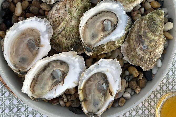 Oyster and Wine Tasting in a Cozy Seaside Lodge - An In-Depth Look at the Experience