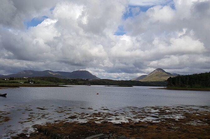 Oyster Farm and Tasting Experience - Discover Ireland’s Oyster Farms: An Authentic Tasting Adventure