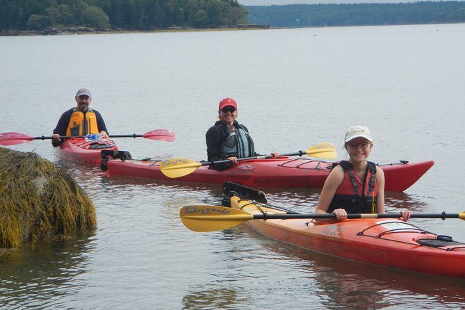 Oyster Farm & Complimentary Tasting Sea Kayak Tour in Casco Bay - Key Points