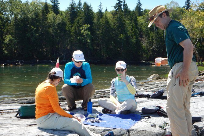 Oyster Farm & Complimentary Tasting Sea Kayak Tour in Casco Bay - Who Will Love This Tour?