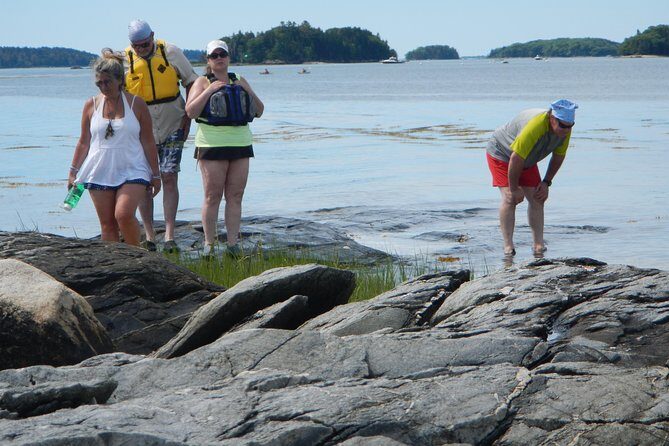 Oyster Farm & Complimentary Tasting Sea Kayak Tour in Casco Bay - Final Thoughts: Why It’s Worth Your Time