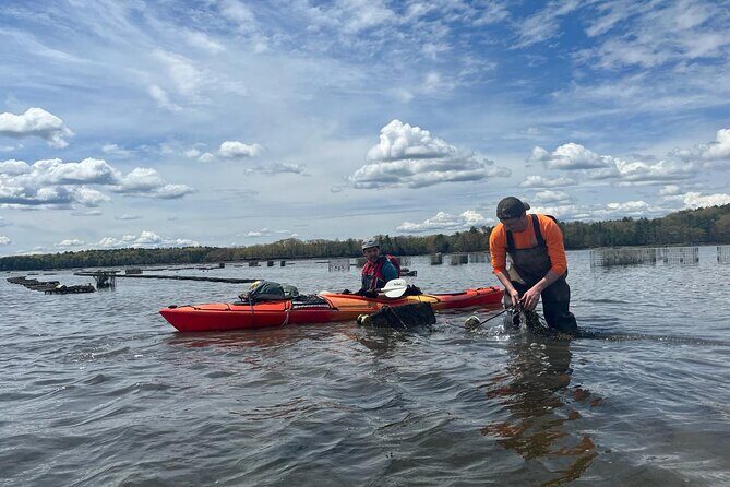 Oyster Tasting and Kayak Tour - Exploring the Oyster Tasting and Kayak Tour: A Perfect Mix of Nature and Fresh Seafood