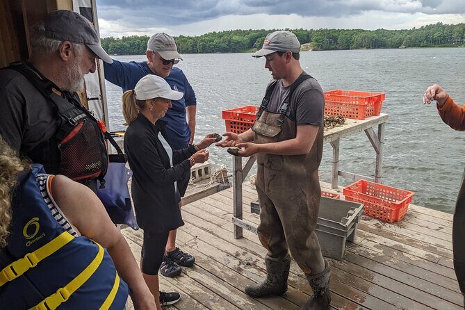 Oyster Tasting and Kayak Tour - A Detailed Look at the Experience