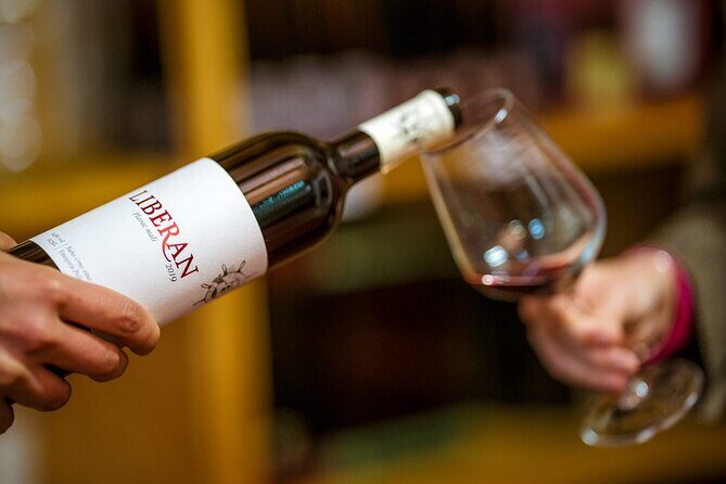 Oysters and mussels tasting with wine in Ston and Peljeac - Who Should Consider This Tour?