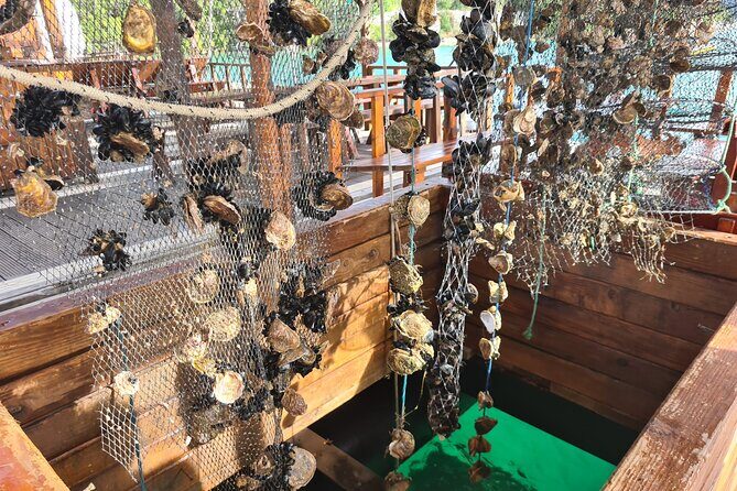 Oysters & Wine Tour From Dubrovnik (Small Group) - Who Will Love This Tour?