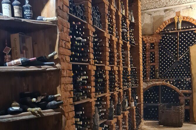 Oysters & Wine Tour From Dubrovnik (Small Group) - The Sum Up: Why This Tour Is a Great Choice