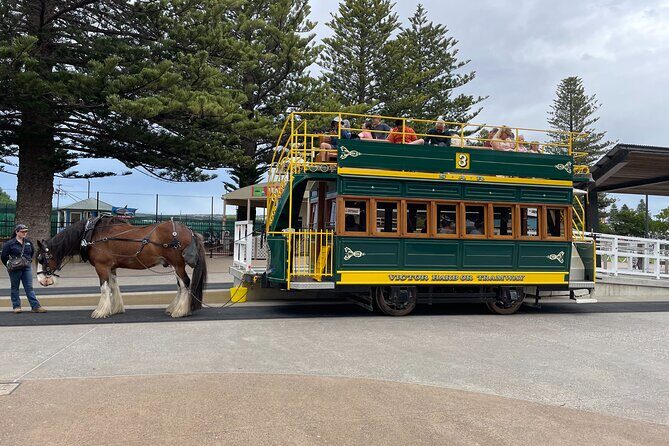 Oz Wicked Glitch in Adelaide: Exploration Game and Tour - Why Choose This Experience?
