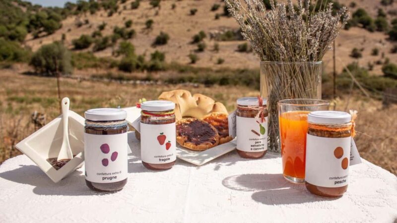Ozieri: jam tasting in Tula - Final Thoughts: Who Should Consider This Tour?