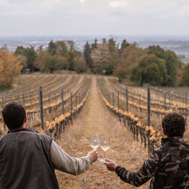 Ozzano Emilia: Guided Cellar Walking Tour with Wine Tasting - Ozzano Emilia: Guided Cellar Walking Tour with Wine Tasting — A Balanced Look at a Delightful Experience