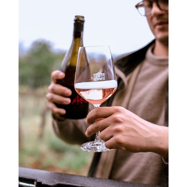 Ozzano Emilia: Guided Cellar Walking Tour with Wine Tasting - Key Points