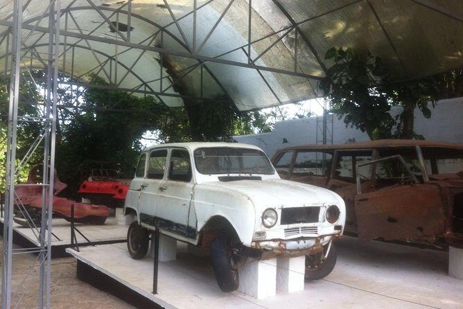 Pablo Escobar Hacienda Napoles Private Full Day Tour - In-Depth Review of the Pablo Escobar Hacienda Napoles Private Full Day Tour