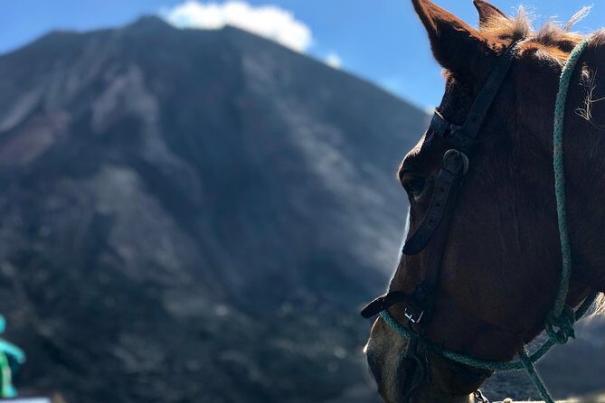 Pacaya Volcano and Thermal Pools - Discovering the Adventure of Pacaya Volcano and Thermal Pools