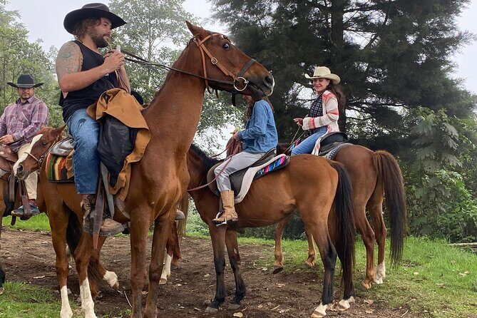 Pacaya Volcano Horseback Fast Ride Lava Pizza Chef - Practical Details and Booking Insights