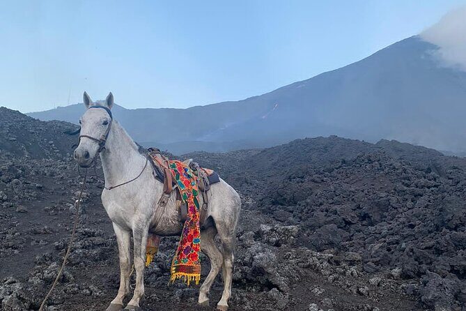 Pacaya Volcano Horseback Fast Ride Lava Pizza Chef - Who Will Enjoy This Tour?