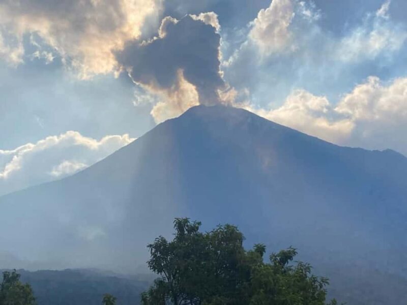 Pacaya Volcano Tour from Antigua Guatemala - Key Points