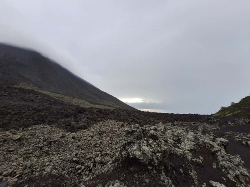 Pacaya Volcano Tour from Antigua Guatemala - An In-Depth Look at the Pacaya Volcano Tour