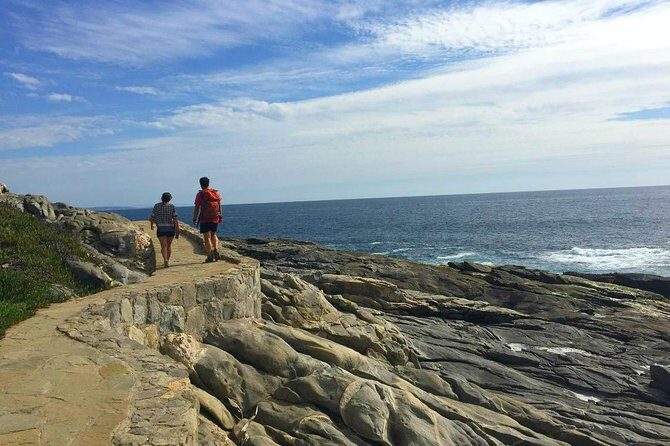 Pacific Ocean Hike Private Tour 7K - Experience the Chilean Coast with the Pacific Ocean Hike Private Tour 7K