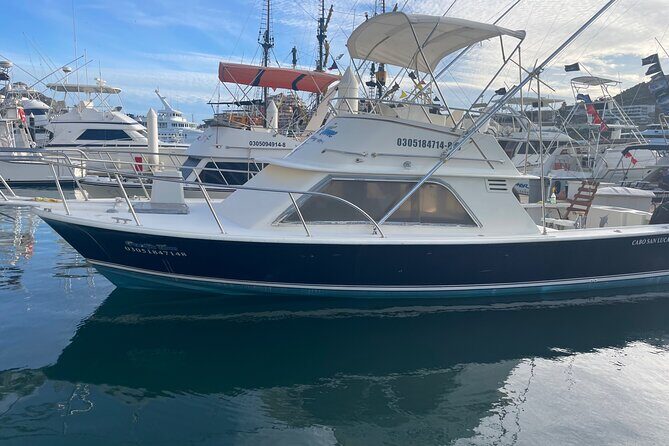 Pacifictime Sports Fishing in Cabos san lucas - A Genuine Look at Pacifictime Sports Fishing in Cabo San Lucas