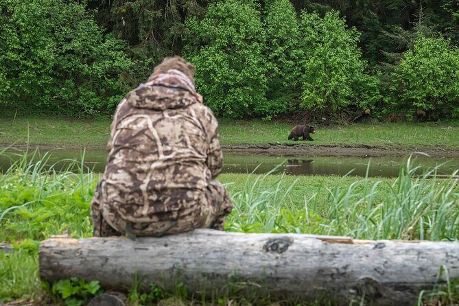 Pack Creek Bear Viewing - Key Points