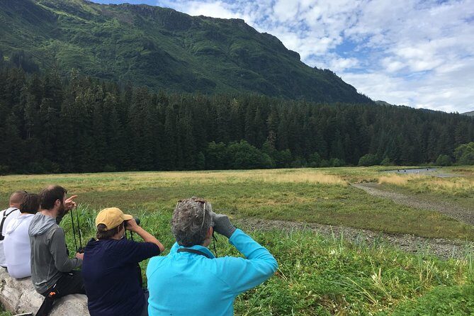 Pack Creek Brown Bear Viewing Juneau - Key Points