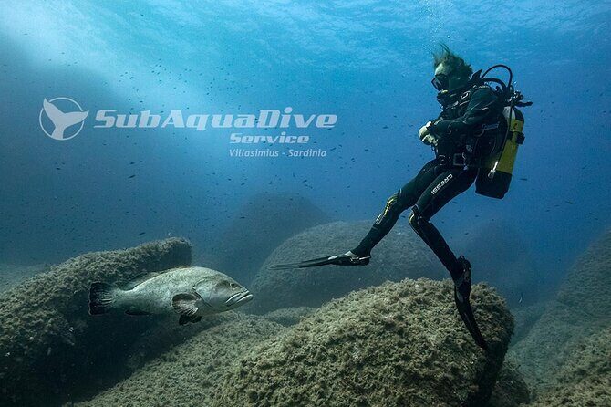 Package of 4 single dives to the Capo Carbonara Marine Protected Area - Explore Sardinias Underwater Treasures with a 4-Dive Package at Capo Carbonara
