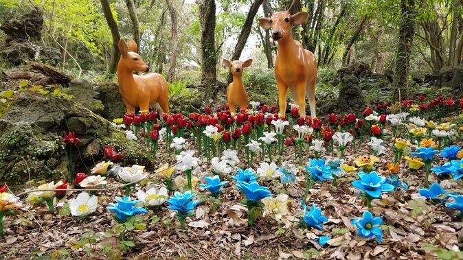 Package tour of All areas of Jeju Island-(East &South &West) - The Journey Begins at Hamdeok Beach