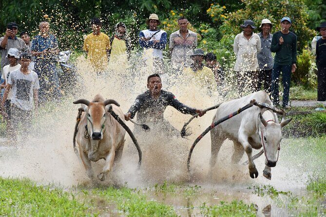 Padang West Sumatra 9-Day Private Tour + Mentawai - Frequently Asked Questions