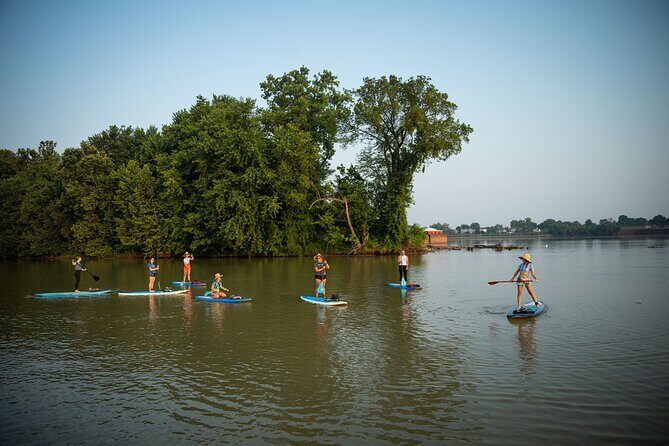 Paddle and Explore: Downtown Louisville River Tour - Authentic Feedback from Participants