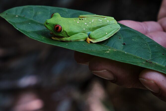 Paddle Board Adventure in a Tropical Paradise - The Value of This Experience