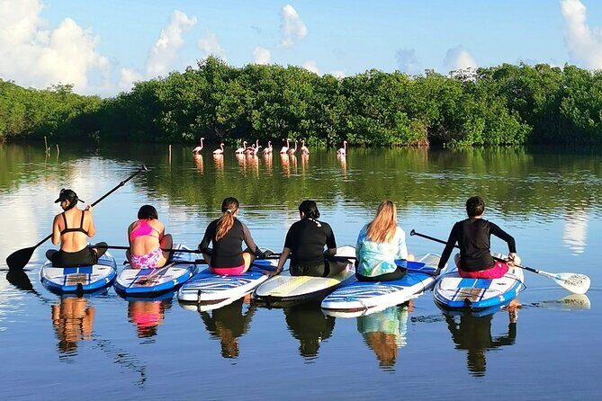 Paddle Board at Dawn in Yucatan - Who Is This Tour Best For?