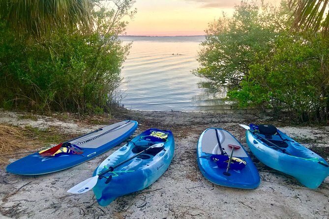 Paddle Board or Kayak Eco Dolphin Manatee Tour - Discovering Cocoa Beachs Hidden Natural Treasures