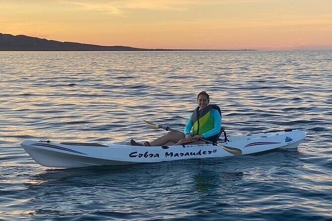 Paddle board or Kayak Rental - A Detailed Look at the Experience