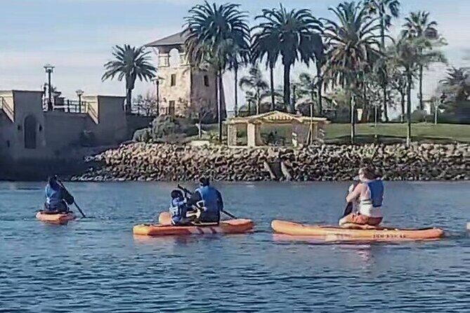 Paddle Board Picnics Lessons Rentals and Outdoor Adventures - Who Should Consider This Experience?