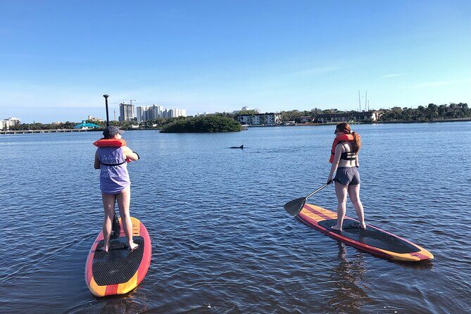 Paddle Board Rental - Final Thoughts