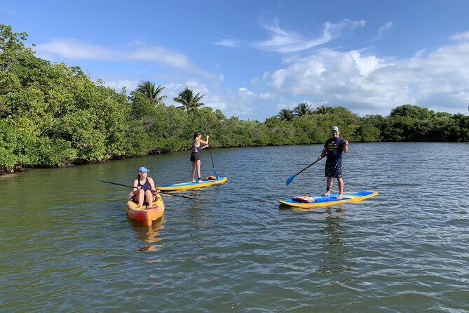Paddle Board Rental in Vero Beach - The Sum Up: Who Will Enjoy This Experience?