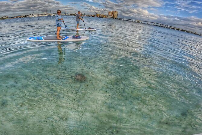 Paddle Boarding Activity to Peanut Island - Who Will Love This Tour?