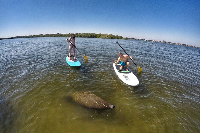 Paddle Boarding Eco Adventure Tour Jupiter Florida - Singer Island - Key Points
