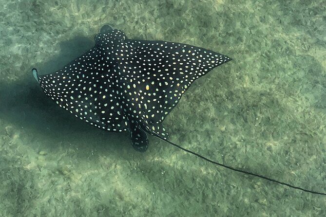 Paddle Boarding Eco Adventure Tour Jupiter Florida - Singer Island - The Sum Up