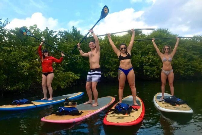 Paddle Boarding Rentals - A Calm Paddle in the Florida Wilderness: Paddle Boarding Rentals in West Palm Beach